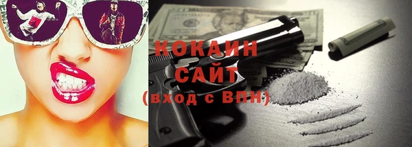 МДПВ Вяземский