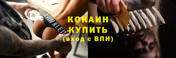 МДПВ Вяземский