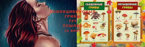 МДПВ Вяземский