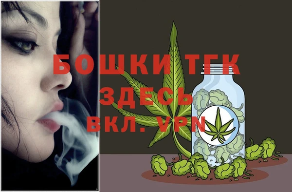 МДПВ Вяземский